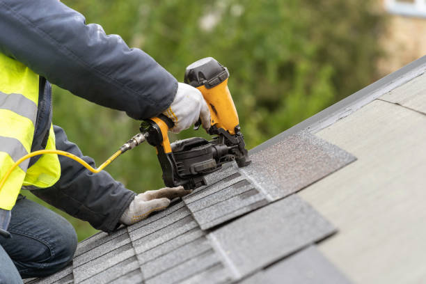 Best Roof Insulation Installation  in Forest City, IA