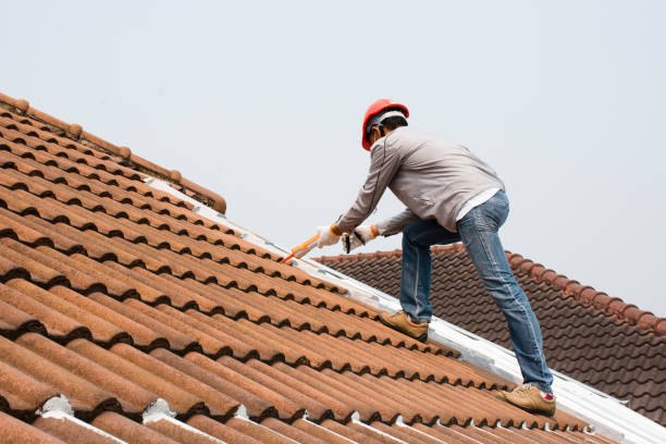 Best Slate Roofing  in Forest City, IA