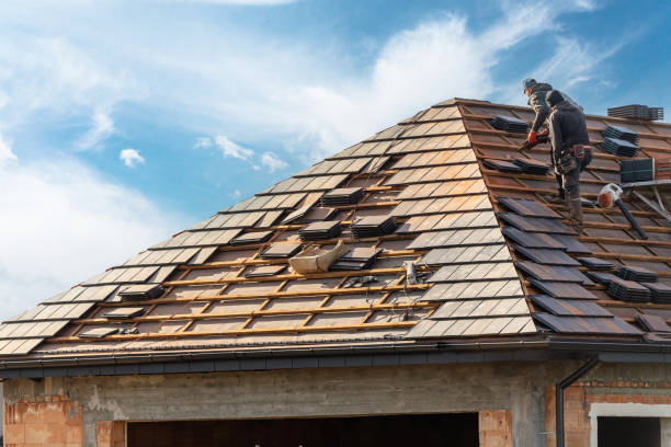 Best Green or Eco-Friendly Roofing Solutions  in Forest City, IA